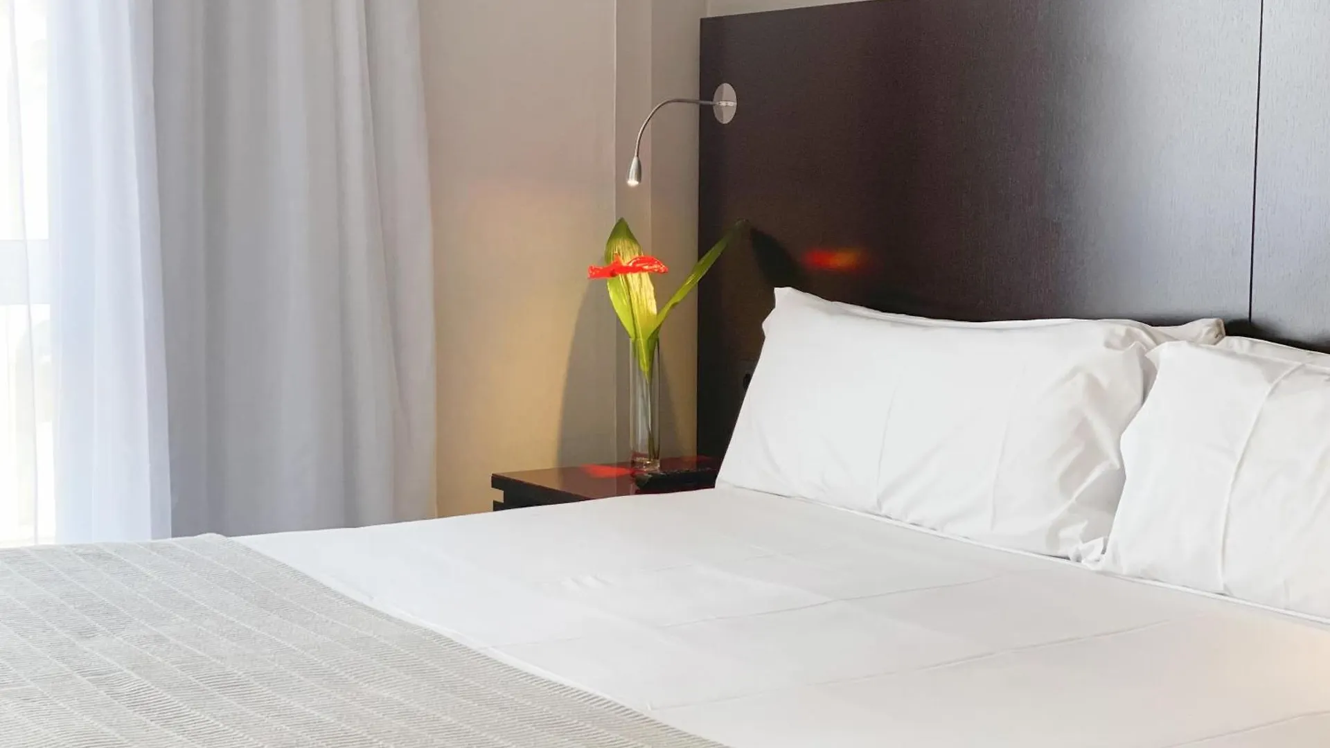 Sm Hotel Sant Antoni Barcelona